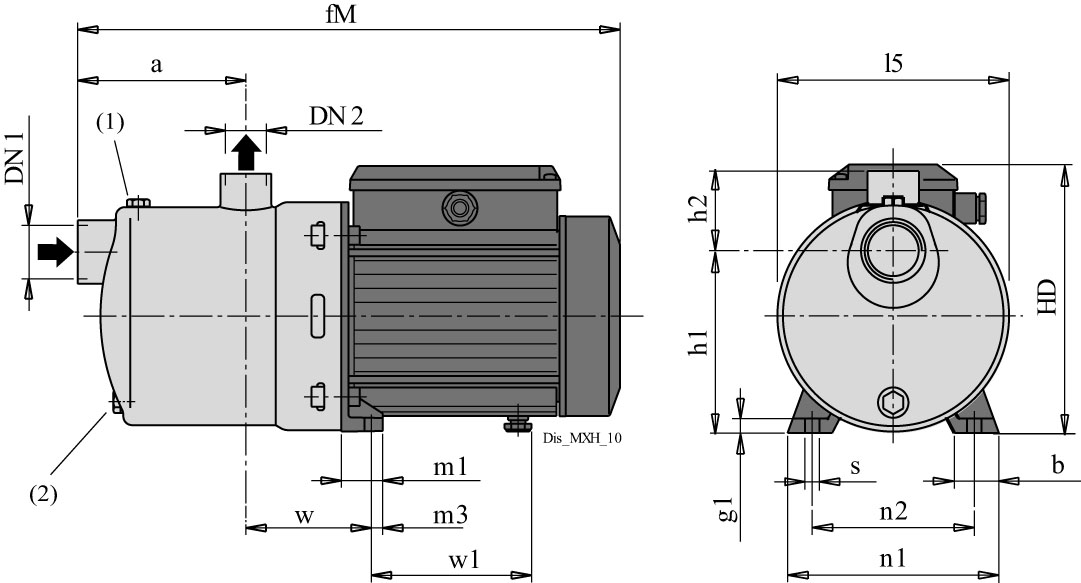 Dimensioni (mm)