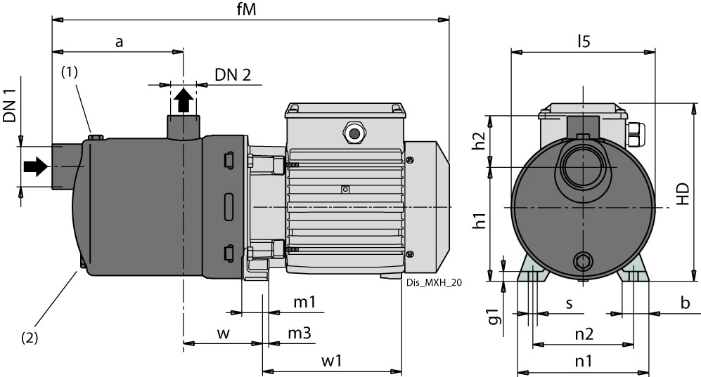 Dimensioni (mm)