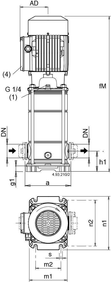 Dimensioni (mm)