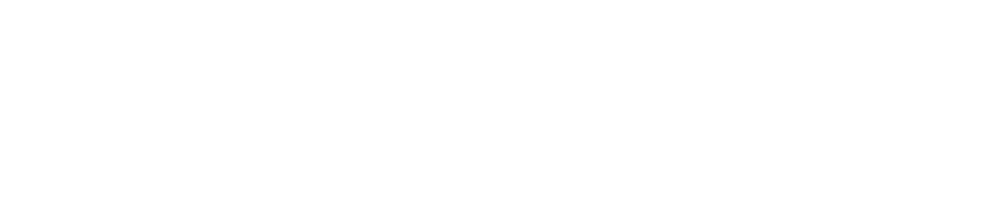 Logo Calpeda Spa 2024